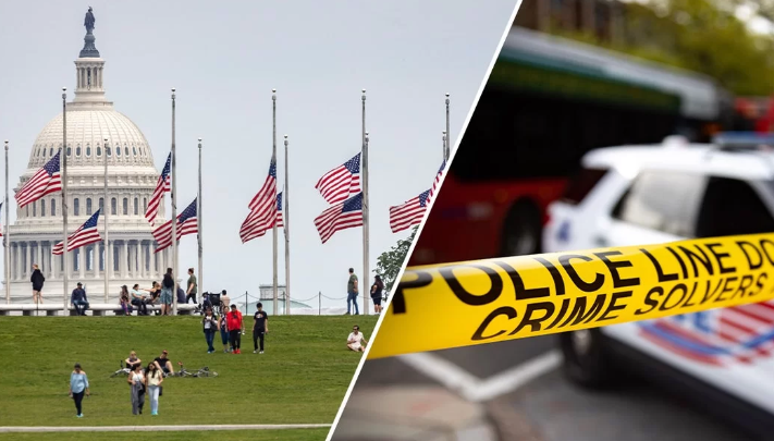 usa local news Blue city's uncontrolled viciousness drove this previous DC occupant to escape the wrongdoing ridden capital